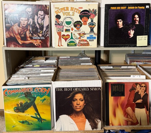 The record bin closeouts - the,