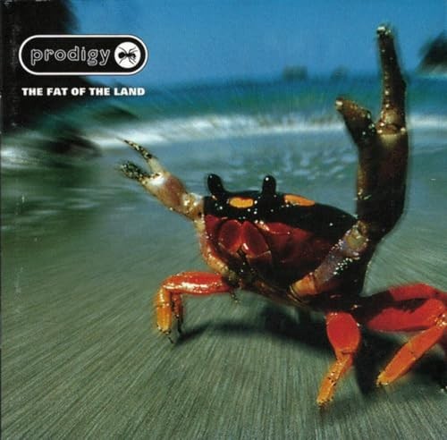 Fat the land prodigy - fat,